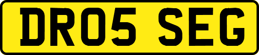 DR05SEG