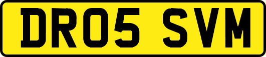 DR05SVM