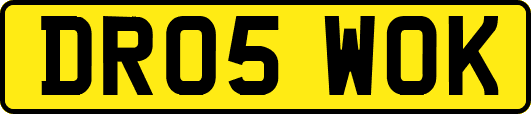 DR05WOK