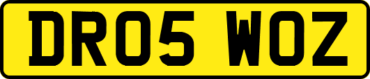 DR05WOZ