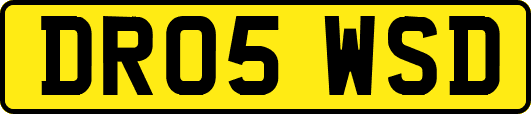 DR05WSD