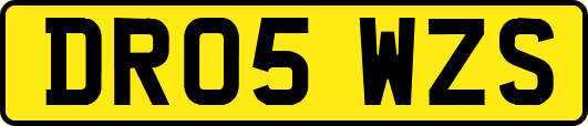 DR05WZS