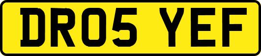 DR05YEF