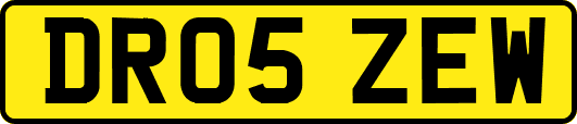 DR05ZEW