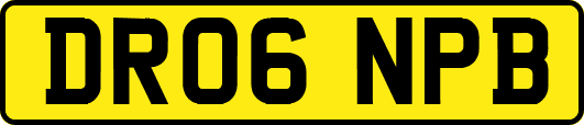 DR06NPB