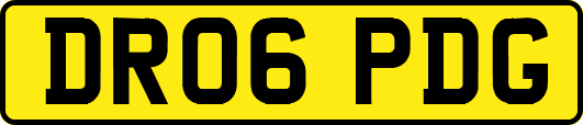 DR06PDG