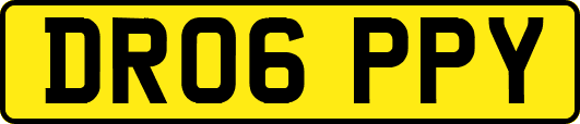 DR06PPY