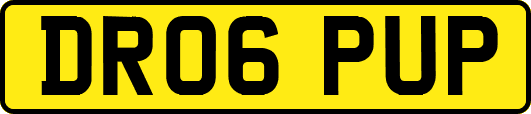 DR06PUP