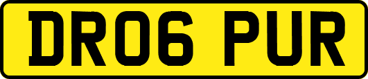 DR06PUR