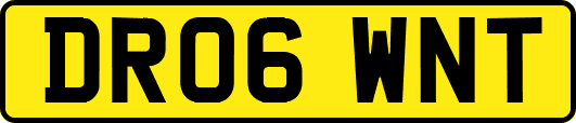 DR06WNT
