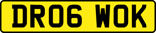 DR06WOK