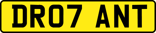 DR07ANT