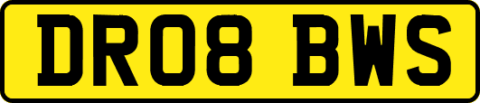 DR08BWS