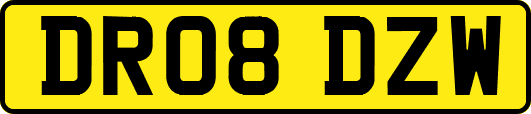 DR08DZW