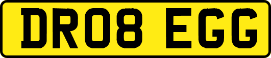 DR08EGG