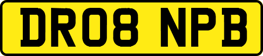DR08NPB
