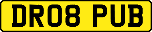 DR08PUB