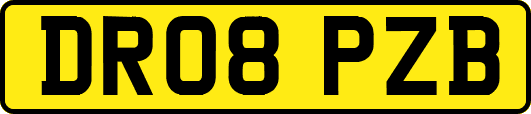 DR08PZB
