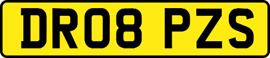 DR08PZS