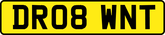 DR08WNT
