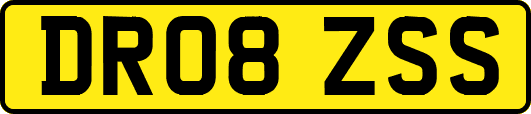 DR08ZSS