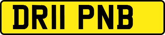 DR11PNB