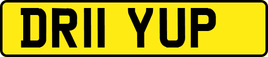 DR11YUP