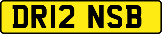 DR12NSB