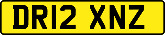 DR12XNZ
