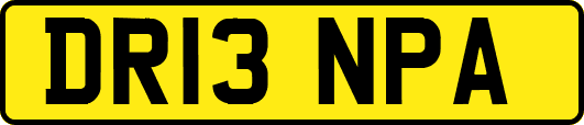 DR13NPA