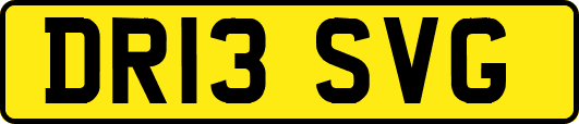 DR13SVG