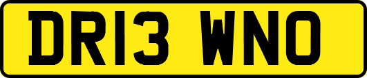 DR13WNO