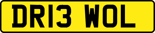 DR13WOL