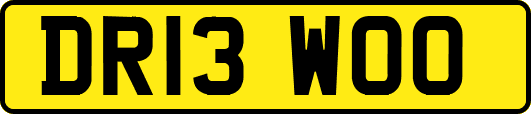 DR13WOO