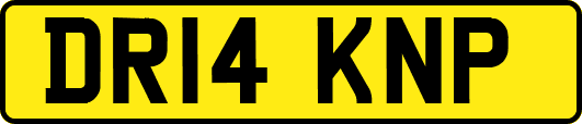 DR14KNP