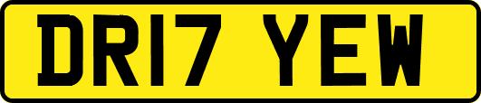 DR17YEW