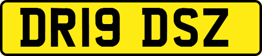 DR19DSZ