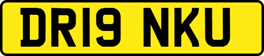 DR19NKU