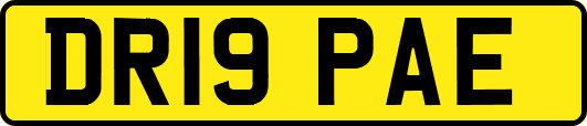 DR19PAE