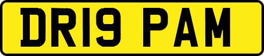 DR19PAM