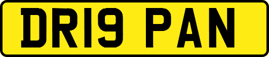 DR19PAN