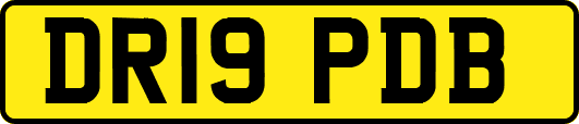 DR19PDB