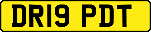 DR19PDT