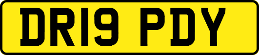 DR19PDY