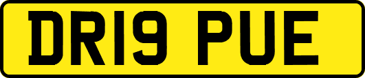 DR19PUE