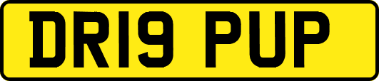 DR19PUP