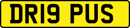 DR19PUS