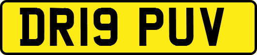 DR19PUV