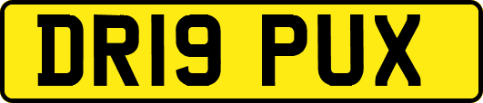 DR19PUX