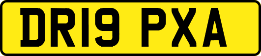 DR19PXA